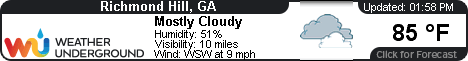 Richmond Hill, GA Weather Forecast